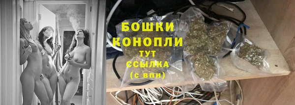 гашиш Богданович