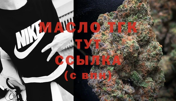 индика Богородск