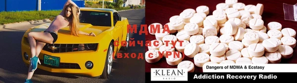 индика Богородск