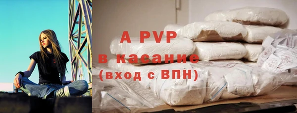 индика Богородск