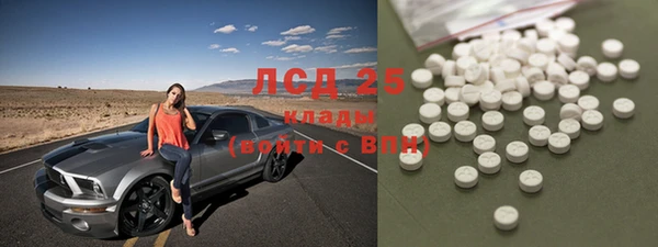 индика Богородск