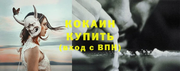 гашиш Богданович