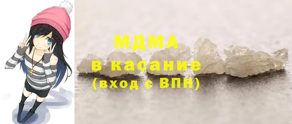 индика Богородск