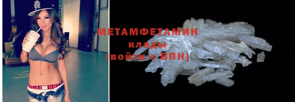 индика Богородск