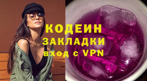 индика Богородск