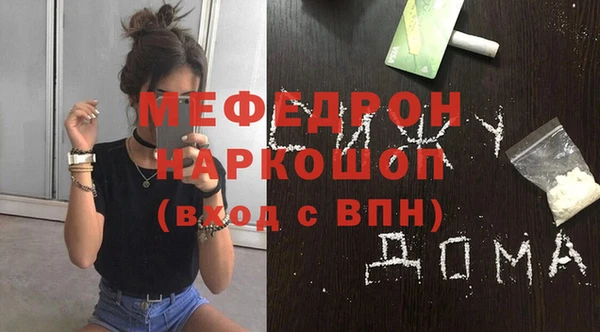 индика Богородск