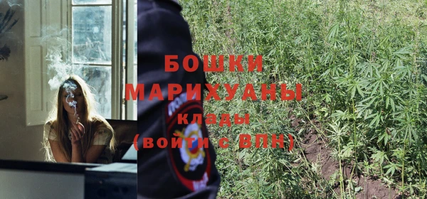 индика Богородск