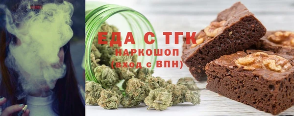 индика Богородск