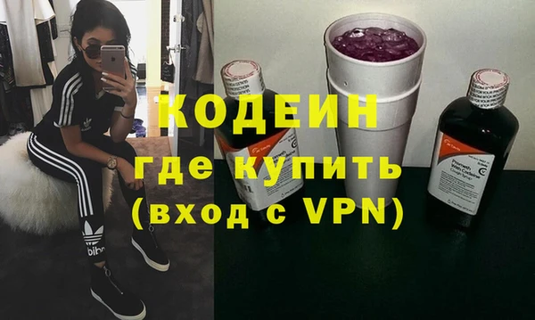 индика Богородск