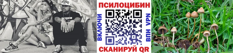 Псилоцибиновые грибы GOLDEN TEACHER Шагонар